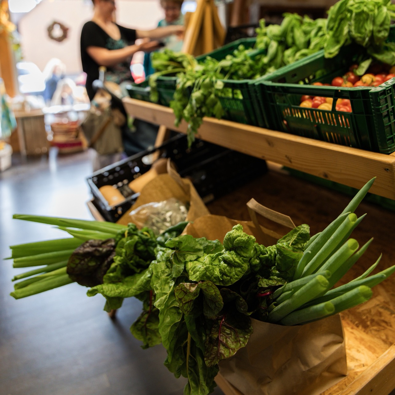 Frisches Gemüse je nach Saison